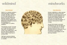 Twenty-five years of Wildmind – Wildmind