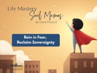 Life Mastery Soul Memos with David McLeod | Rein in Fear, Reclaim Sovereignty