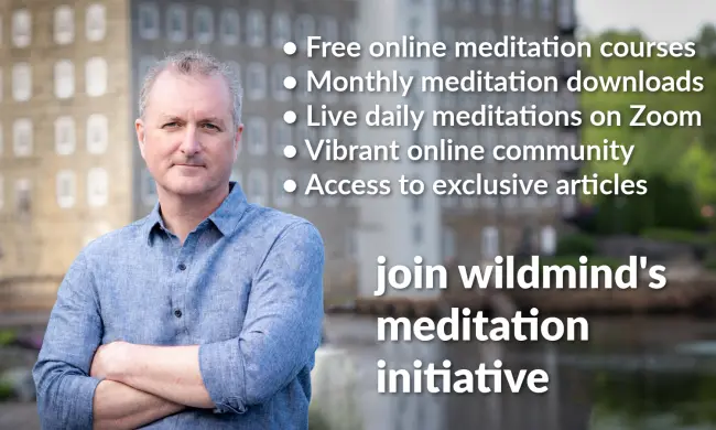 Promo for Wildmind's meditation initiative