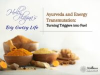 Ayurveda and Energy Transmutation: Turning Triggers into Fuel