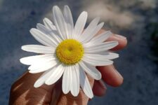 Gratitude in a time of calamity