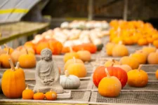 Boundaries For Thanksgiving