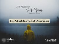 Sin: A Backdoor to Self-Awareness | Life Mastery Soul Memos with David McLeod